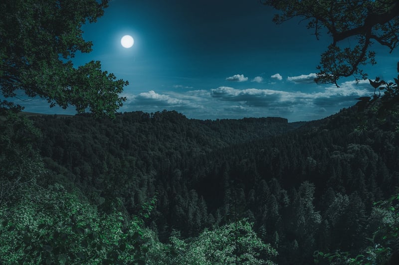 Moon Dessert